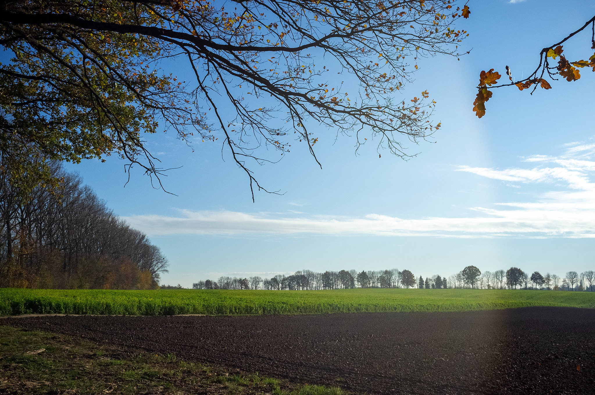 Featured image for “Nieuwe Landbouwbarometer beschikbaar: gemiddelde prijs landbouwgrond in de lift”